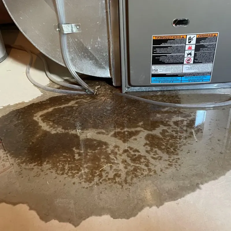 Pipe Burst and Leak Restoration in Saint Johns, AZ