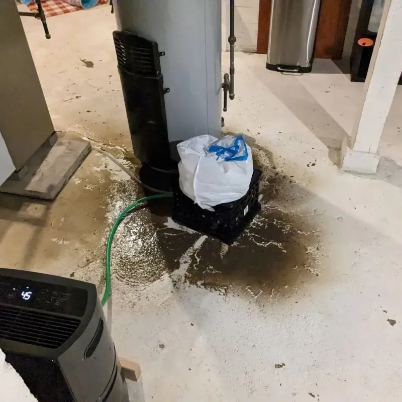 Sewage Backup Cleanup Service in Saint Johns, AZ